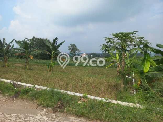 TANAH POTENSIAL! Tanah di Nogosari, Luas 931m2m², Jalur Strategis TANAH POTENSIAL! Tanah di Nogosari, Luas 931m2m², Jalur Strategis