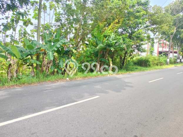 LOKASI STRATEGIS! Tanah di Polokarto, Luas 2100m2m², Lingkungan Asri, Cocok untuk Hunian LOKASI STRATEGIS! Tanah di Polokarto, Luas 2100m2m², Lingkungan Asri, Cocok untuk Hunian
