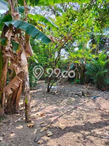 Rumah Nyaman untuk Keluarga area Kebakkramat - LT 680m2m² Rumah Nyaman untuk Keluarga area Kebakkramat - LT 680m2m²