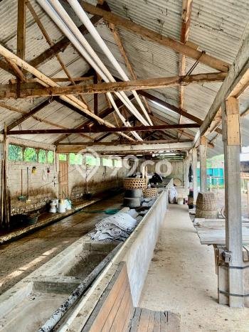 Komersial Bagus Dijual di Gladagsari Boyolali Strategis Cocok untuk Kembangkan Bisnis Komersial Bagus Dijual di Gladagsari Boyolali Strategis Cocok untuk Kembangkan Bisnis