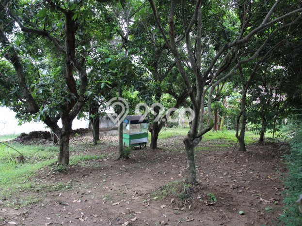 HARGA TERBAIK! Rumah Premium di Karanganyar, LT 1766m2m² Bangunan 700m2m² HARGA TERBAIK! Rumah Premium di Karanganyar, LT 1766m2m² Bangunan 700m2m²