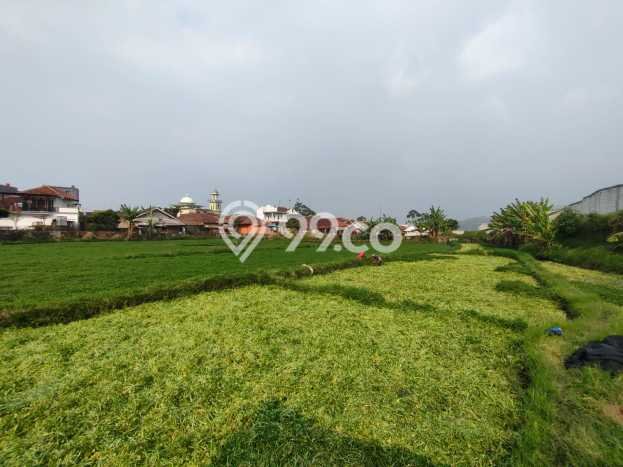 Tanah untuk Dijual Lokasi Ciwidey, Bandung Luas 7200m2 SHM Tanah untuk Dijual Lokasi Ciwidey, Bandung Luas 7200m2 SHM