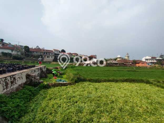 Tanah untuk Dijual Lokasi Ciwidey, Bandung Luas 7200m2 SHM Tanah untuk Dijual Lokasi Ciwidey, Bandung Luas 7200m2 SHM