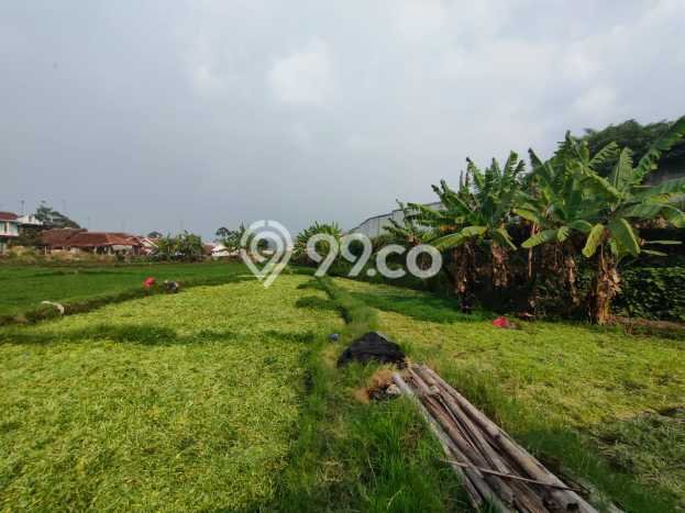 Tanah untuk Dijual Lokasi Ciwidey, Bandung Luas 7200m2 SHM Tanah untuk Dijual Lokasi Ciwidey, Bandung Luas 7200m2 SHM