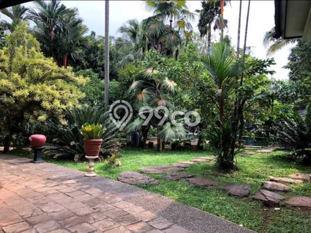 Rumah Mewah Dijual LT 2460m2 di Ciputat, Tangerang Selatan Rumah Mewah Dijual LT 2460m2 di Ciputat, Tangerang Selatan