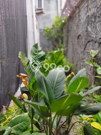 Jual Rumah Bagus Siap Huni LB 250m2 di Rungkut, Surabaya Jual Rumah Bagus Siap Huni LB 250m2 di Rungkut, Surabaya