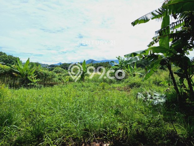 Tanah di Babakan Madang, Bogor Luas 30000m2 Dijual Segera Tanah di Babakan Madang, Bogor Luas 30000m2 Dijual Segera