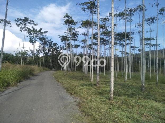Tanah Komersial Dijual di Bantargadung Sukabumi 20000m2 Tanah Komersial Dijual di Bantargadung Sukabumi 20000m2