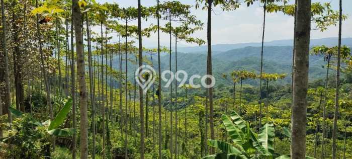 Tanah Komersial Dijual di Bantargadung Sukabumi 20000m2 Tanah Komersial Dijual di Bantargadung Sukabumi 20000m2