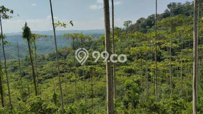 Tanah Komersial Dijual di Bantargadung Sukabumi 20000m2 Tanah Komersial Dijual di Bantargadung Sukabumi 20000m2
