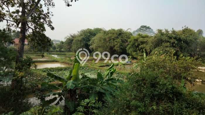 Tanah Kavling di Parung Dijual dengan Luas 8310m2 Tanah Kavling di Parung Dijual dengan Luas 8310m2