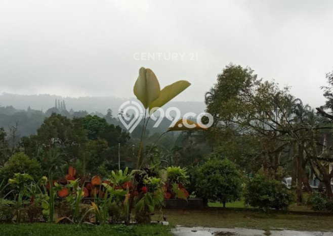 Untuk Dijual Apartemen Prestisius di Cisarua, Bogor 39 Kamar Tidur Untuk Dijual Apartemen Prestisius di Cisarua, Bogor 39 Kamar Tidur