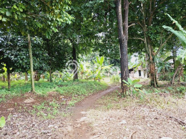 Tanah di Babakan Madang, Bogor Luas 30000m2 Dijual Segera Tanah di Babakan Madang, Bogor Luas 30000m2 Dijual Segera