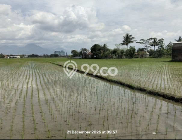 Jarang Ada! Tanah di Solokan Jeruk Punya Luas 50000m2 SHM Jarang Ada! Tanah di Solokan Jeruk Punya Luas 50000m2 SHM