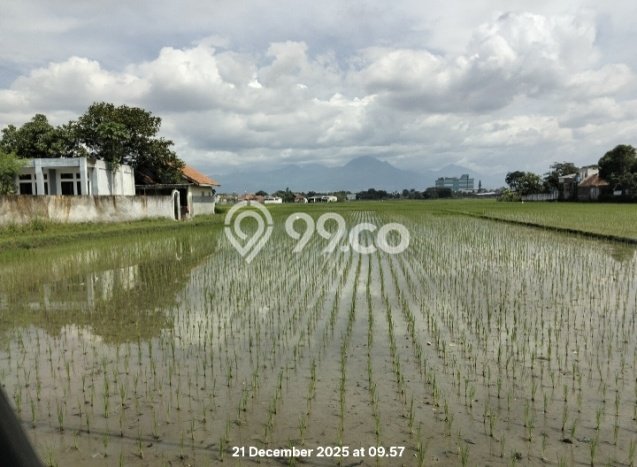 Jarang Ada! Tanah di Solokan Jeruk Punya Luas 50000m2 SHM Jarang Ada! Tanah di Solokan Jeruk Punya Luas 50000m2 SHM