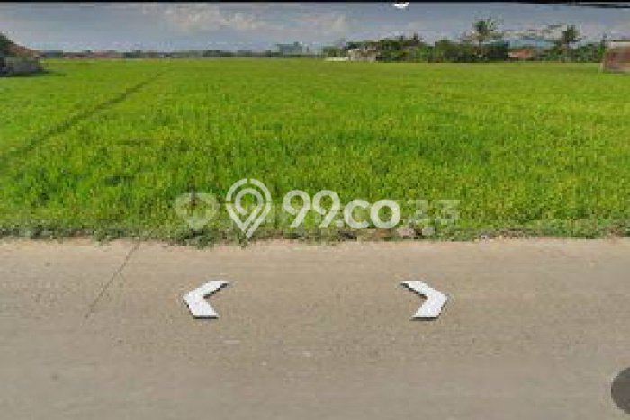 Jarang Ada! Tanah di Solokan Jeruk Punya Luas 50000m2 SHM Jarang Ada! Tanah di Solokan Jeruk Punya Luas 50000m2 SHM
