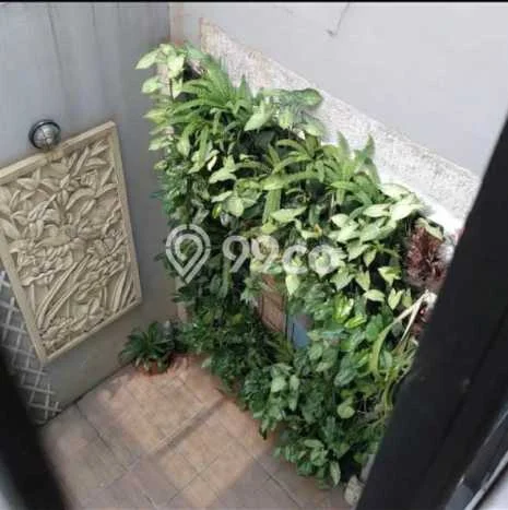 Rumah Luas Asri 3 KT Siap Pakai di Bintaro Tangerang Selatan Rumah Luas Asri 3 KT Siap Pakai di Bintaro Tangerang Selatan