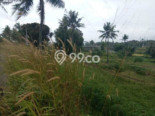 Dijual Tanah di Cilegon, Luas 23000m2 SHM Dijual Tanah di Cilegon, Luas 23000m2 SHM