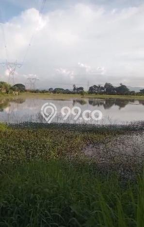 Jarang Ada! Tanah di Jombang Punya Luas 10000m2 SHM Jarang Ada! Tanah di Jombang Punya Luas 10000m2 SHM