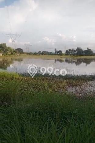 Jarang Ada! Tanah di Jombang Punya Luas 10000m2 SHM Jarang Ada! Tanah di Jombang Punya Luas 10000m2 SHM