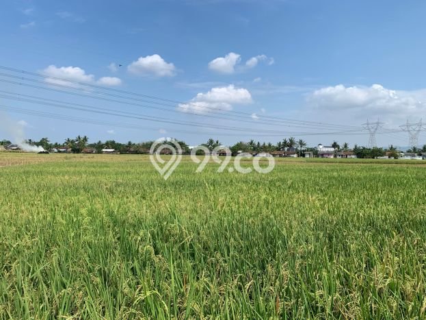 Jarang Ada! Tanah di Kramatwatu Punya Luas 4487m2 - Jarang Ada! Tanah di Kramatwatu Punya Luas 4487m2 -