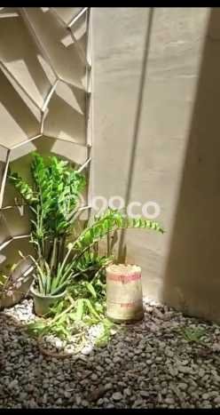 Disewakan Cepat Rumah Kondisi Baik di Area Jombang, Cilegon Disewakan Cepat Rumah Kondisi Baik di Area Jombang, Cilegon