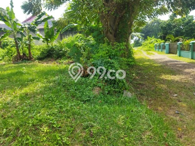 Lahan Kosong Dijual di Taktakan, Serang, Luas 403m2 Area Strategis Lahan Kosong Dijual di Taktakan, Serang, Luas 403m2 Area Strategis
