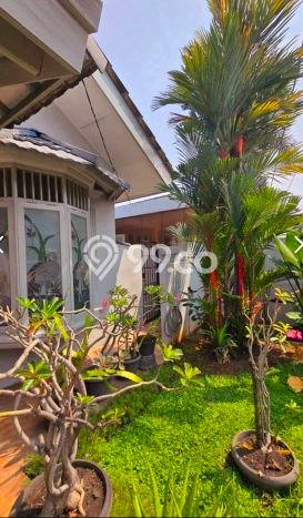 Rumah Luas Asri 3 KT Siap Pakai di Bintaro Tangerang Selatan Rumah Luas Asri 3 KT Siap Pakai di Bintaro Tangerang Selatan