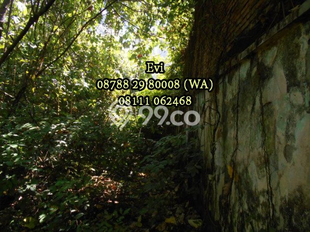 Tanah Dijual Area Strategis di Kemang Jakarta Selatan 1465m2 Tanah Dijual Area Strategis di Kemang Jakarta Selatan 1465m2