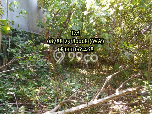 Tanah Dijual Area Strategis di Kemang Jakarta Selatan 1465m2 Tanah Dijual Area Strategis di Kemang Jakarta Selatan 1465m2