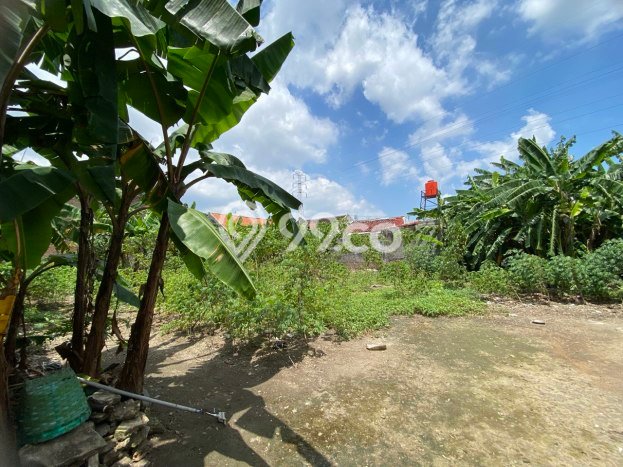 Dijual Tanah di Banjarsari Solo Luas 662m2 SHM Dijual Tanah di Banjarsari Solo Luas 662m2 SHM