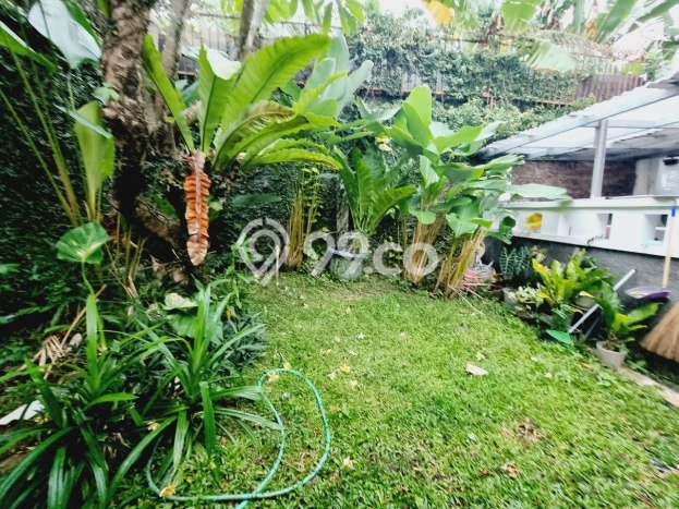 Siap Huni Rumah Mewah 3 Kamar di Laweyan Dekat ke Mana Pun Siap Huni Rumah Mewah 3 Kamar di Laweyan Dekat ke Mana Pun