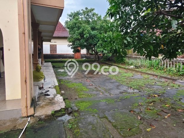 Rumah Strategis Minimalis Lb 700m2 di Teras, Boyolali Rumah Strategis Minimalis Lb 700m2 di Teras, Boyolali