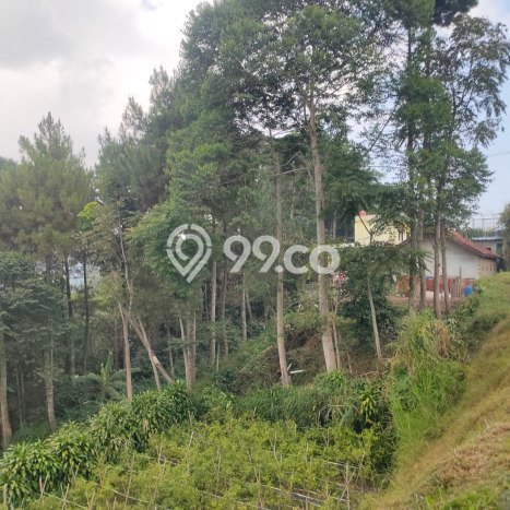 Tanah Dijual di Bandung Seluas 6000m2 Strategis Tanah Dijual di Bandung Seluas 6000m2 Strategis