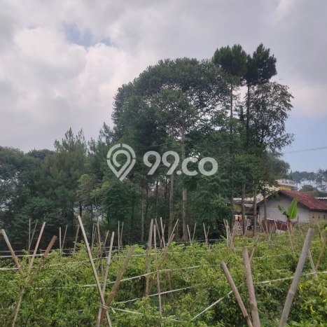 Tanah Dijual di Bandung Seluas 6000m2 Strategis Tanah Dijual di Bandung Seluas 6000m2 Strategis