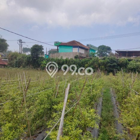 Tanah Dijual di Bandung Seluas 6000m2 Strategis Tanah Dijual di Bandung Seluas 6000m2 Strategis