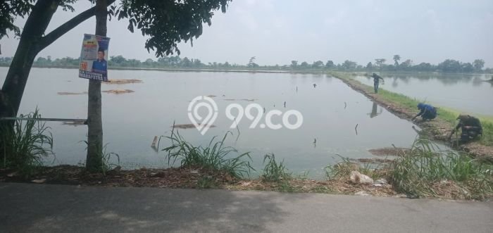 Untuk Dijual Tanah di Bojongsoang Bandung Luas 67800m2 SHM Untuk Dijual Tanah di Bojongsoang Bandung Luas 67800m2 SHM