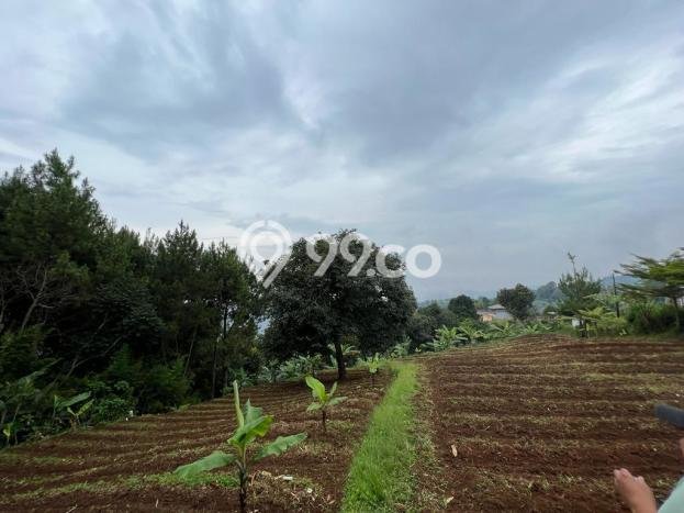 Lahan untuk Dijual di Lembang Bandung Barat Luas 6789m2 Lahan untuk Dijual di Lembang Bandung Barat Luas 6789m2
