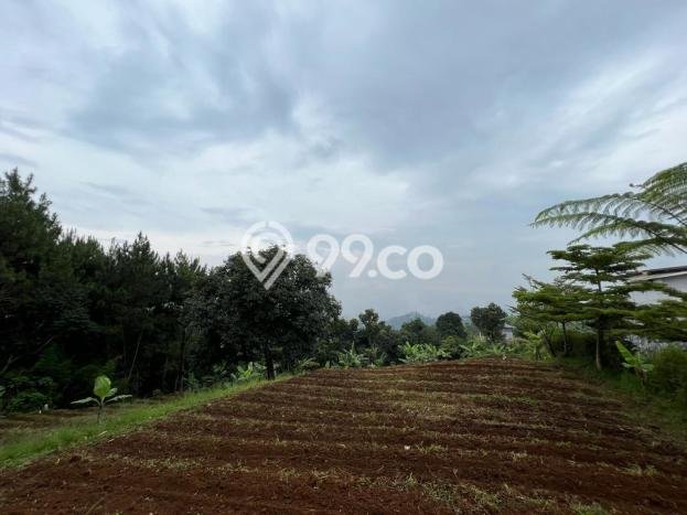 Lahan untuk Dijual di Lembang Bandung Barat Luas 6789m2 Lahan untuk Dijual di Lembang Bandung Barat Luas 6789m2