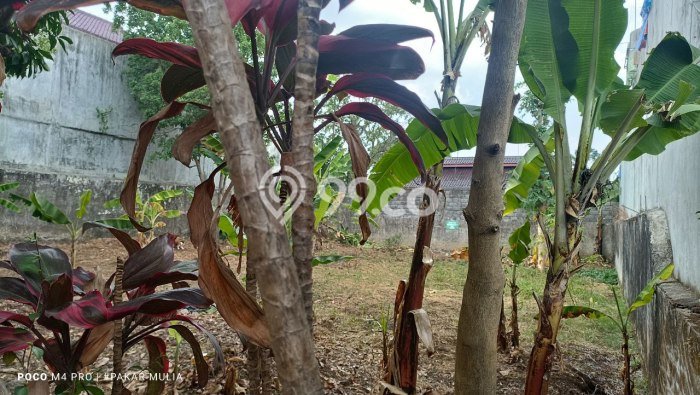 Tanah Dijual Area Strategis di Cigadung Bandung 400m2 Tanah Dijual Area Strategis di Cigadung Bandung 400m2