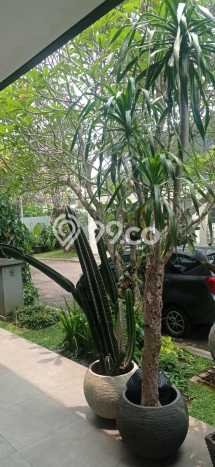 For Sale! Luxury House LT 250m2 Desain Modern di Bintaro For Sale! Luxury House LT 250m2 Desain Modern di Bintaro