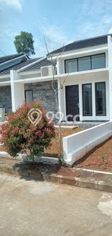 Jual Rumah Murah di Pamulang Tangerang Selatan Harga Rp 500 Juta LT 66m2 Jual Rumah Murah di Pamulang Tangerang Selatan Harga Rp 500 Juta LT 66m2