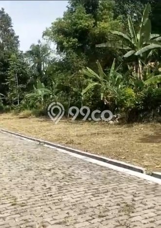 Jarang Ada! Tanah di Tamansari Punya Luas 1213m2 SHM Jarang Ada! Tanah di Tamansari Punya Luas 1213m2 SHM