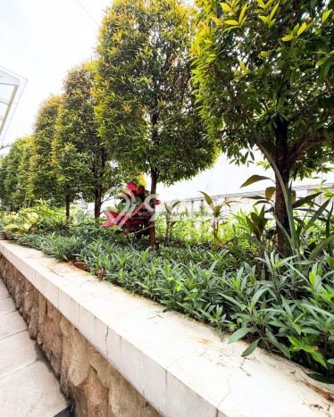 Dijual Rumah Premium dengan Fasilitas Sekitar Lengkap di Jagakarsa, Jakarta Selatan Dijual Rumah Premium dengan Fasilitas Sekitar Lengkap di Jagakarsa, Jakarta Selatan