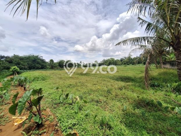Tanah di Ranca Bungur, Luas 32000m², Jalur Mudah Tanah di Ranca Bungur, Luas 32000m², Jalur Mudah