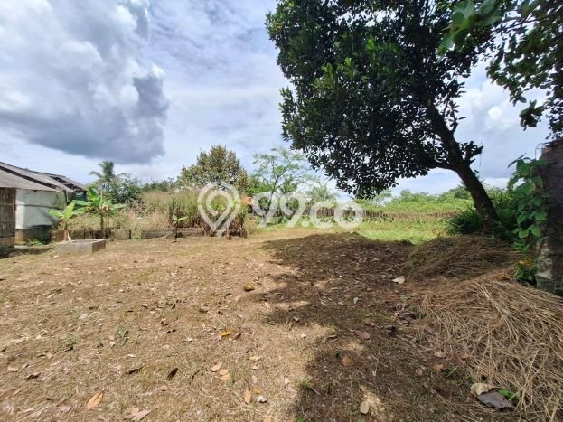Tanah di Ranca Bungur, Luas 32000m², Jalur Mudah Tanah di Ranca Bungur, Luas 32000m², Jalur Mudah