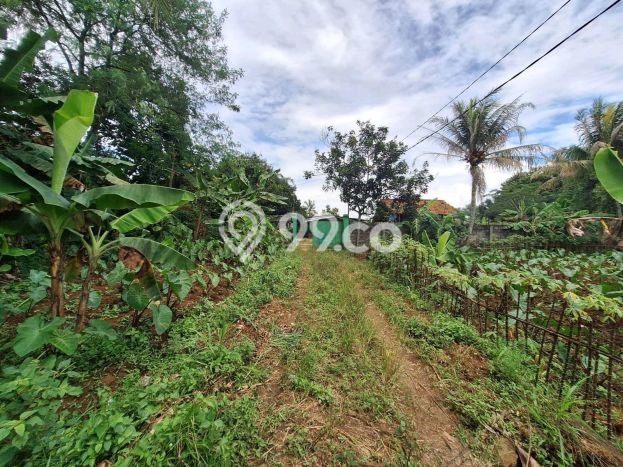 Tanah di Ranca Bungur, Luas 32000m², Jalur Mudah Tanah di Ranca Bungur, Luas 32000m², Jalur Mudah