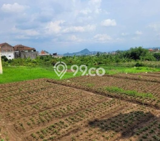 HARGA MENARIK! Tanah Kawasan Batu, Luas 2405m2m², Kawasan Berkembang HARGA MENARIK! Tanah Kawasan Batu, Luas 2405m2m², Kawasan Berkembang