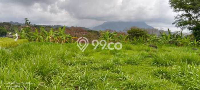 Lahan Kosong Dijual di Prigen, Pasuruan, Luas 1293m2 Area Strategis Lahan Kosong Dijual di Prigen, Pasuruan, Luas 1293m2 Area Strategis