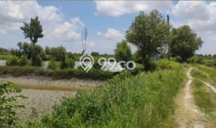 Dijual Tanah Area Prospektif di Manyar, Luas 26567m2m², Dekat Manyar, Gresik, Gresik Dijual Tanah Area Prospektif di Manyar, Luas 26567m2m², Dekat Manyar, Gresik, Gresik